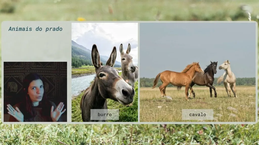 Lesson — animais do prado